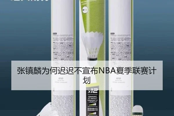 张镇麟为何迟迟不宣布NBA夏季联赛计划